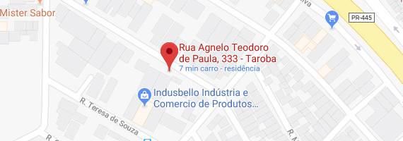 Localização no google maps